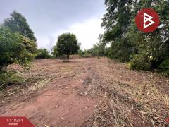 ขายที่ดิน เนื้อ 2 ไร่ 2 งาน 24 ตร.วา เกาะจันทร์ ชลบุรี-202509011026031756697163189.jpg