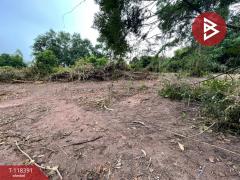 ขายที่ดิน เนื้อ 2 ไร่ 2 งาน 24 ตร.วา เกาะจันทร์ ชลบุรี-202509011026031756697163719.jpg