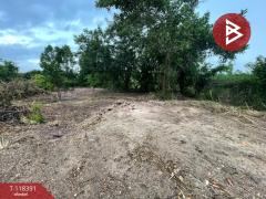 ขายที่ดิน เนื้อ 2 ไร่ 2 งาน 24 ตร.วา เกาะจันทร์ ชลบุรี-202509011026041756697164247.jpg