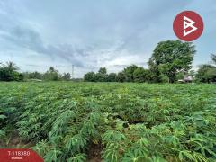 ขายที่ดิน เนื้อที่ 5 ไร่ 3 งาน 34.4 ตร.วา เกาะจันทร์ ชลบุรี-202509011032551756697575437.jpg