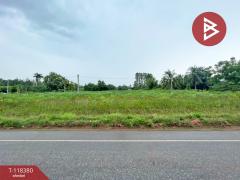 ขายที่ดิน เนื้อที่ 5 ไร่ 3 งาน 34.4 ตร.วา เกาะจันทร์ ชลบุรี-202509011032551756697575969.jpg