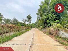 ขายที่ดิน เนื้อที่ 5 ไร่ 3 งาน 34.4 ตร.วา เกาะจันทร์ ชลบุรี-202509011032571756697577011.jpg