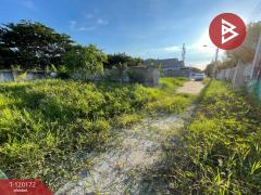 ขายที่ดิน เนื้อที่ 3 งาน 5.1 ตร.วา ศรีราชา ชลบุรี-202509011047441756698464486.jpg