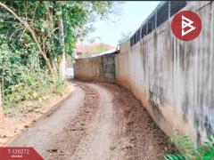 ขายที่ดิน เนื้อที่ 4 ไร่ 3 งาน 90 ตร.วา น้ำพอง ขอนแก่น-202509011111331756699893692.jpg