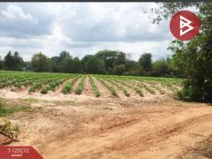 ขายที่ดิน เนื้อที่ 4 ไร่ 3 งาน 90 ตร.วา น้ำพอง ขอนแก่น-202509011111341756699894230.jpg