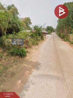 ขายที่ดิน เนื้อที่ 4 ไร่ 3 งาน 90 ตร.วา น้ำพอง ขอนแก่น-202509011111341756699894770.jpg