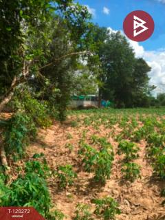 ขายที่ดิน เนื้อที่ 4 ไร่ 3 งาน 90 ตร.วา น้ำพอง ขอนแก่น-202509011111351756699895297.jpg