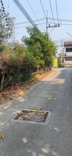 ขายที่ดิน 207 ตร.ว. เหมืองง่า เมืองลำพูน – ทำเลดี ราคาถูก-202509011114131756700053532.jpg