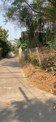 ขายที่ดิน 207 ตร.ว. เหมืองง่า เมืองลำพูน – ทำเลดี ราคาถูก-202509011114151756700055242.jpg