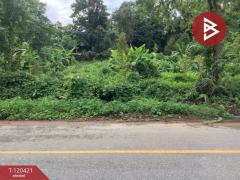 ขายที่ดิน-พร้อมต้นทุเรียน-เนื้อที่-3