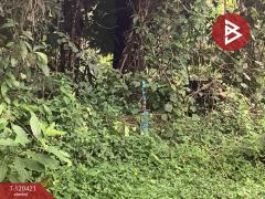 ขายที่ดิน พร้อมต้นทุเรียน เนื้อที่ 3 ไร่ 5 ตารางวา ลับแล อุตรดิตถ์-202509011135321756701332781.jpg