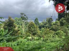 ขายที่ดิน พร้อมต้นทุเรียน เนื้อที่ 3 ไร่ 5 ตารางวา ลับแล อุตรดิตถ์-202509011135351756701335923.jpg