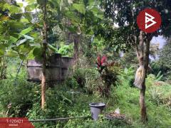 ขายที่ดิน พร้อมต้นทุเรียน เนื้อที่ 3 ไร่ 5 ตารางวา ลับแล อุตรดิตถ์-202509011135371756701337731.jpg