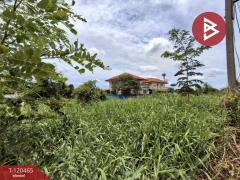 ขายที่ดิน เนื้อที่ 1 งาน 19.5 ตร.วา ลาดบัวหลวง พระนครศรีอยุธยา-202509011212031756703523151.jpg