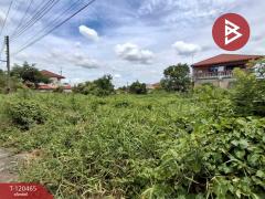 ขายที่ดิน เนื้อที่ 1 งาน 19.5 ตร.วา ลาดบัวหลวง พระนครศรีอยุธยา-202509011212041756703524222.jpg