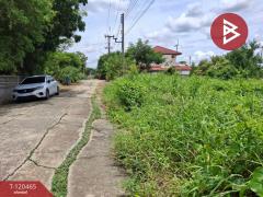 ขายที่ดิน เนื้อที่ 1 งาน 19.5 ตร.วา ลาดบัวหลวง พระนครศรีอยุธยา-202509011212041756703524756.jpg
