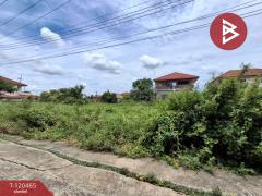 ขายที่ดิน เนื้อที่ 1 งาน 19.5 ตร.วา ลาดบัวหลวง พระนครศรีอยุธยา-202509011212051756703525299.jpg