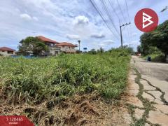 ขายที่ดิน เนื้อที่ 1 งาน 19.5 ตร.วา ลาดบัวหลวง พระนครศรีอยุธยา-202509011212051756703525828.jpg