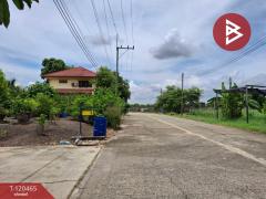 ขายที่ดิน เนื้อที่ 1 งาน 19.5 ตร.วา ลาดบัวหลวง พระนครศรีอยุธยา-202509011212061756703526895.jpg