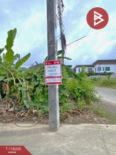 ขายที่ดิน เนื้อที่ 39.3 ตารางวา ถนนจันทร์กวีกูล  เมืองกระบี่ กระบี่-202509011229011756704541892.jpg