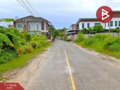 ขายที่ดิน เนื้อที่ 39.3 ตารางวา ถนนจันทร์กวีกูล  เมืองกระบี่ กระบี่-202509011229021756704542436.jpg