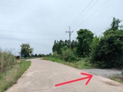 ขายที่ดิน ซอย บ้านหนองไทร ต.บ้านไร่ อ.ลาดยาว จ.นครสวรรค์ 34 ไร่ โฉนดครุฑแดง เจ้าของขายเอง โทร 065-3423946-202509011244301756705470159.jpg