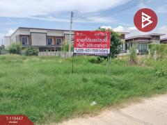  ขายที่ดินแปลงสวย เนื้อที่ 2 งาน ในเมือง พิษณุโลก ทำเลดี-202509011251341756705894606.jpg