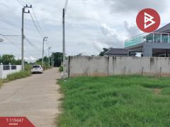  ขายที่ดินแปลงสวย เนื้อที่ 2 งาน ในเมือง พิษณุโลก ทำเลดี-202509011251351756705895655.jpg