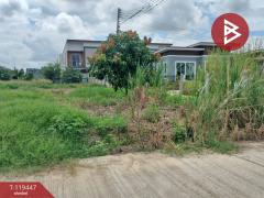  ขายที่ดินแปลงสวย เนื้อที่ 2 งาน ในเมือง พิษณุโลก ทำเลดี-202509011251361756705896173.jpg