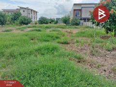  ขายที่ดินแปลงสวย เนื้อที่ 2 งาน ในเมือง พิษณุโลก ทำเลดี-202509011251361756705896699.jpg