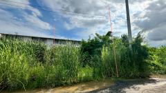 ขายที่ดินเปล่า ซอยอ่อนนุช 70 แยก 2-8 เนื้อที่ 183 ตร.ว. ถนนพัฒนาการตัดใหม่ ซอยพัฒนาการ 99#LB243 – 001085-202509011416071756710967213.jpg