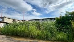 ขายที่ดินเปล่า ซอยอ่อนนุช 70 แยก 2-8 เนื้อที่ 183 ตร.ว. ถนนพัฒนาการตัดใหม่ ซอยพัฒนาการ 99#LB243 – 001085-202509011416071756710967848.jpg