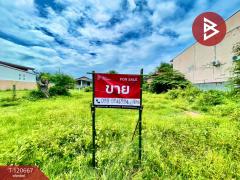 ขายที่ดิน เนื้อที่ 2 งาน 21.4 ตารางวา บ้านไผ่ ขอนแก่น ทำเลดี-202509011452241756713144350.jpg