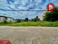 ขายที่ดิน เนื้อที่ 2 งาน 21.4 ตารางวา บ้านไผ่ ขอนแก่น ทำเลดี-202509011452241756713144876.jpg