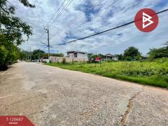 ขายที่ดิน เนื้อที่ 2 งาน 21.4 ตารางวา บ้านไผ่ ขอนแก่น ทำเลดี-202509011452251756713145398.jpg