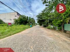 ขายที่ดิน เนื้อที่ 2 งาน 21.4 ตารางวา บ้านไผ่ ขอนแก่น ทำเลดี-202509011452281756713148022.jpg