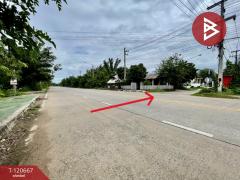 ขายที่ดิน เนื้อที่ 2 งาน 21.4 ตารางวา บ้านไผ่ ขอนแก่น ทำเลดี-202509011452281756713148553.jpg