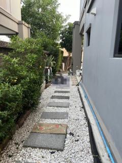 ให้เช่า บ้านเดี่ยว M1281 ภัสสร เพรสทีจ บางนา-สุวรรณภูมิ 180 ตรม 51 ตรว-202509011611131756717873507.jpg