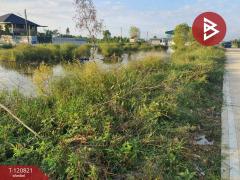 ขายที่ดิน เนื้อที่ 1 งาน ลำลูกกา ปทุมธานี-202509011633161756719196563.jpg