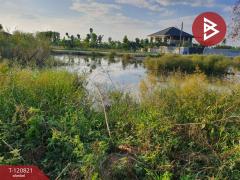 ขายที่ดิน เนื้อที่ 1 งาน ลำลูกกา ปทุมธานี-202509011633171756719197100.jpg