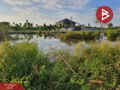 ขายที่ดิน เนื้อที่ 1 งาน ลำลูกกา ปทุมธานี-202509011633171756719197642.jpg