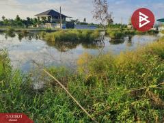 ขายที่ดิน เนื้อที่ 1 งาน ลำลูกกา ปทุมธานี-202509011633181756719198173.jpg