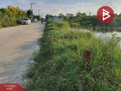 ขายที่ดิน เนื้อที่ 1 งาน ลำลูกกา ปทุมธานี-202509011633181756719198711.jpg