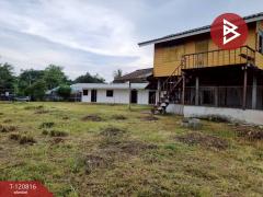  ขายที่ดินพร้อมสิ่งปลูกสร้าง เนื้อที่ 2 งาน 68.4 ตร.วา ศิลา ขอนแก่น-202509011651341756720294387.jpg