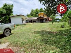  ขายที่ดินพร้อมสิ่งปลูกสร้าง เนื้อที่ 2 งาน 68.4 ตร.วา ศิลา ขอนแก่น-202509011651361756720296501.jpg