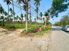 ขายด่วน ที่ดินติดถนนเพชรเกษม ทับสะแก -202509011904471756728287533.jpg