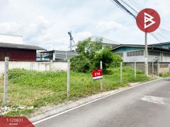 ขายที่ดิน ซ.บางจะเกร็ง2 เนื้อที่ 49 ตร.วา บางจะเกร็ง สมุทรสงคราม-202509012311451756743105707.jpg