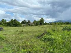 ขายที่ดิน 2-0-11 ไร่ ใกล้ตลาดสดริมเหนือและกาดฝรั่ง อ.แม่ริม เชียงใหม่