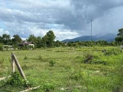 ขายที่ดิน 2-0-11 ไร่ ใกล้ตลาดสดริมเหนือและกาดฝรั่ง อ.แม่ริม เชียงใหม่-202509020104551756749895673.jpg