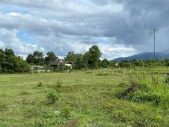 ขายที่ดิน 2-0-11 ไร่ ใกล้ตลาดสดริมเหนือและกาดฝรั่ง อ.แม่ริม เชียงใหม่-202509020105001756749900164.jpg